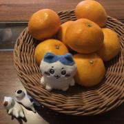 まりきちの画像