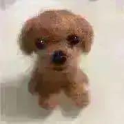 ちゃんぷー❣️価格交渉OKコメントしてねの画像