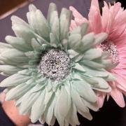 いつでも特価♡えま・shopの画像