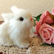 うさこ【購入前プロフ必読】の画像