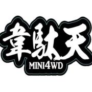 ８月２日発送韋駄天evolution夏のサマーセールお好きなタイヤ2台分ミニ四駆 8月2日発送韋駄天evolution夏のサマーセールお好きなタイヤ2台