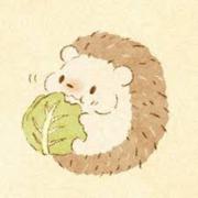 しのちゃんの画像