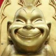 DONdokoDONの画像