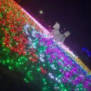 なんでも出品するほたるの画像