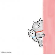 じぇらねこの画像