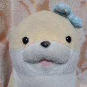 たまこの画像