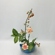 みみ助の画像