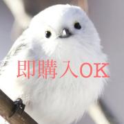 【匿名発送‼️4点セット❗️初音ミク】マカロン アネモネ フィギュア 初音ミク アネモネ フィギュア4個セット - メルカリ