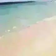 うみの画像