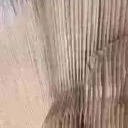 あかまるの画像