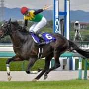 jra 逃げ馬 缶バッジ タイトルホルダー - メルカリ