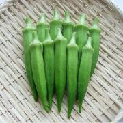maboの画像