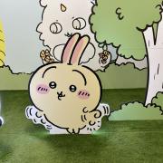 ゆいきちの画像