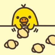 アンタイトル インディヴィ 23区 自由区 組曲 ICB レディース
