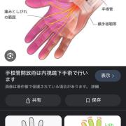 ケイの画像