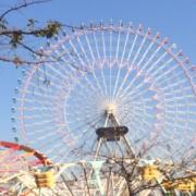 れんの画像