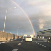 だが断るの画像