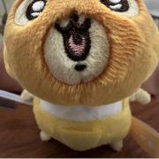 白いの画像