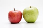 apple ringoの画像