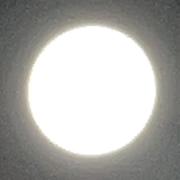 Shinoriko プロフ確認の画像