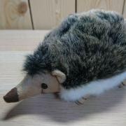クロクの画像