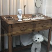 DIANA チュールレース コンビ パンプス 新品未使用/ソール裏張り済み DIANA チュールレース コンビ パンプス 新品未使用/ソール裏張り