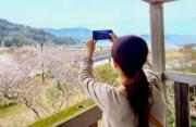りょう☆匿名配送❀送料無料