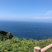 nitの画像