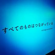 T-KAM  即推奨。の画像