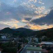 elsaの画像