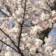 yuana【⚠️は必ずお読み下さい】の画像