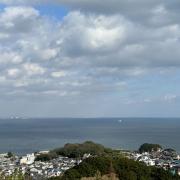 ZWの画像
