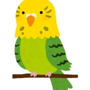 ケンタッキーの画像