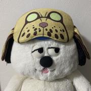 きーちゃの画像