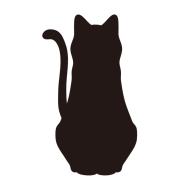 emi♡猫飼っていますの画像