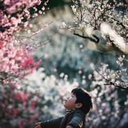 tomikuma2の画像