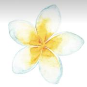 即決価格あればお値引き頑張ります。様 リクエスト 3点 まとめ商品 様 リクエスト 3点 まとめ商品