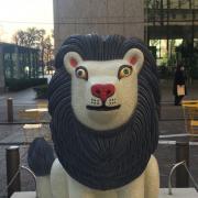 アネモネꪔ̤̥ꪔ̤̮ꪔ̤̫の画像