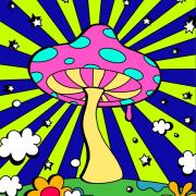 きのこの画像