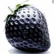 BlackBerry♥️プロフ読んでネ❗の画像
