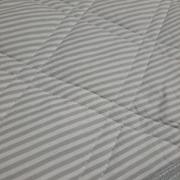 たきのりの画像