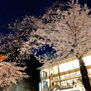 ボクシングポスター　日本タイトル戦　亀田興毅　後楽園ホール初登場　おまけパンフ m92400111814_1.jpg?1719270928