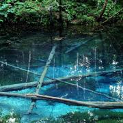 makichangの画像