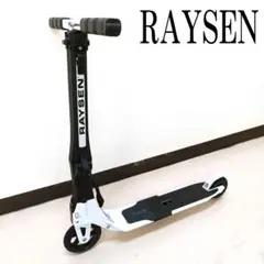 2025年最新】RAYSEN TOUR CK-125の人気アイテム - メルカリ