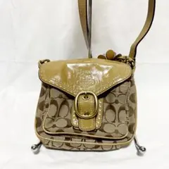 ★大人気 COACH コーチ ショルダーバッグ シグネチャー フラワー