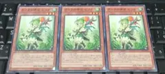遊戯王　ガスタの神裔 ピリカ　ノーマル　３枚セット