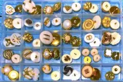 Item thumbnail for item f6de6601-8c88-4103-9eb0-a40a26322585