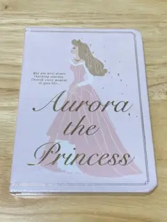 【未使用】ディズニーオーロラノート