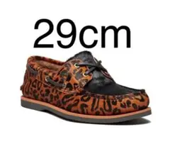 Item thumbnail for item 837a27c8-2584-4d25-b06e-23c3318ed00a
