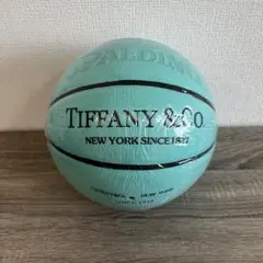 2025年最新】バスケットボール 7号 ティファニーの人気アイテム